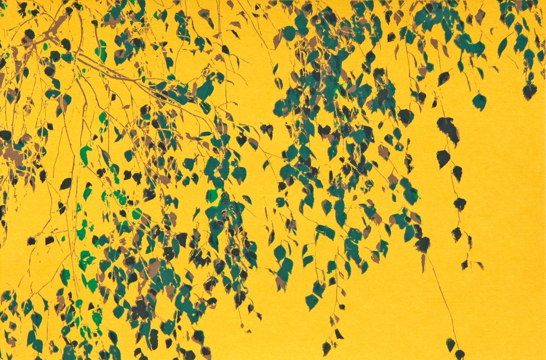 Screenprint of silver birch yellow leaves